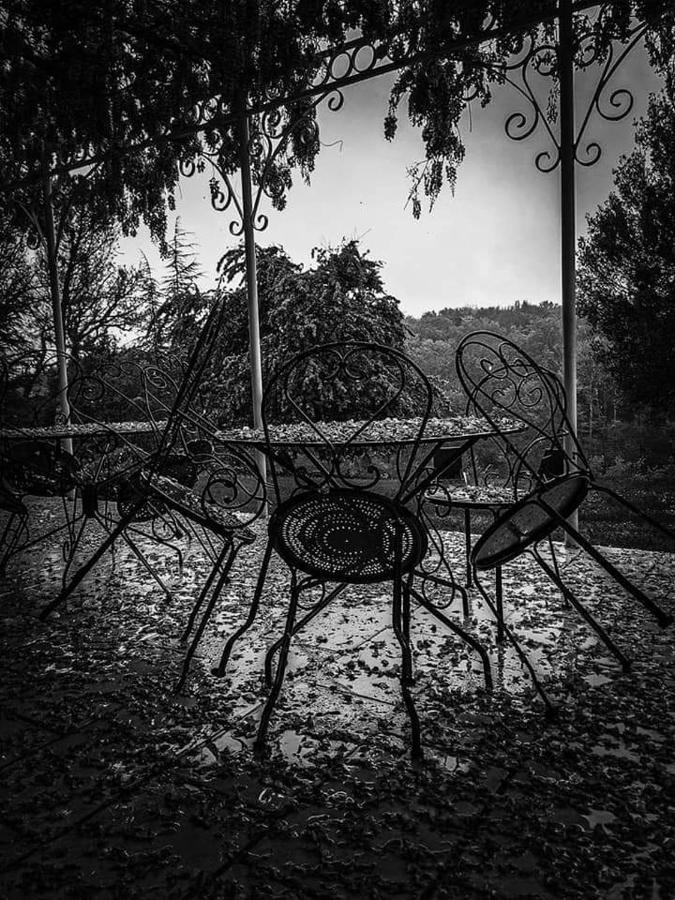 B&B Chateau De Fajac La Selve Pech-Luna Экстерьер фото